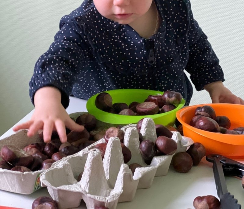 Image de présentation